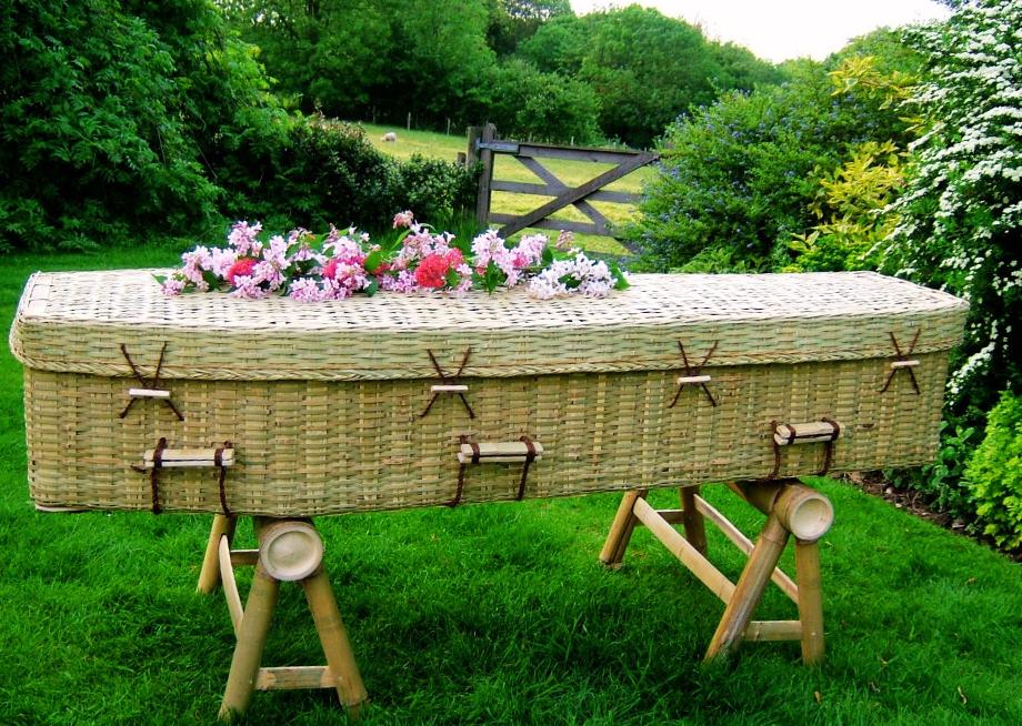Bamboo Coffin New Zealand